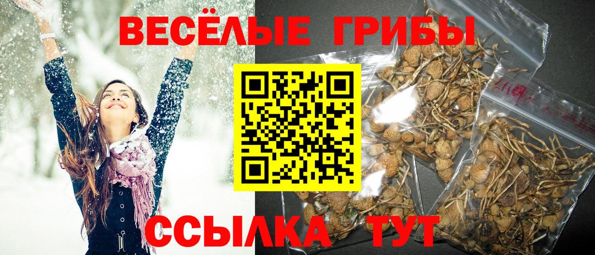 Псилоцибиновые грибы мицелий  Вход с VPN  закладка  Кунгур 